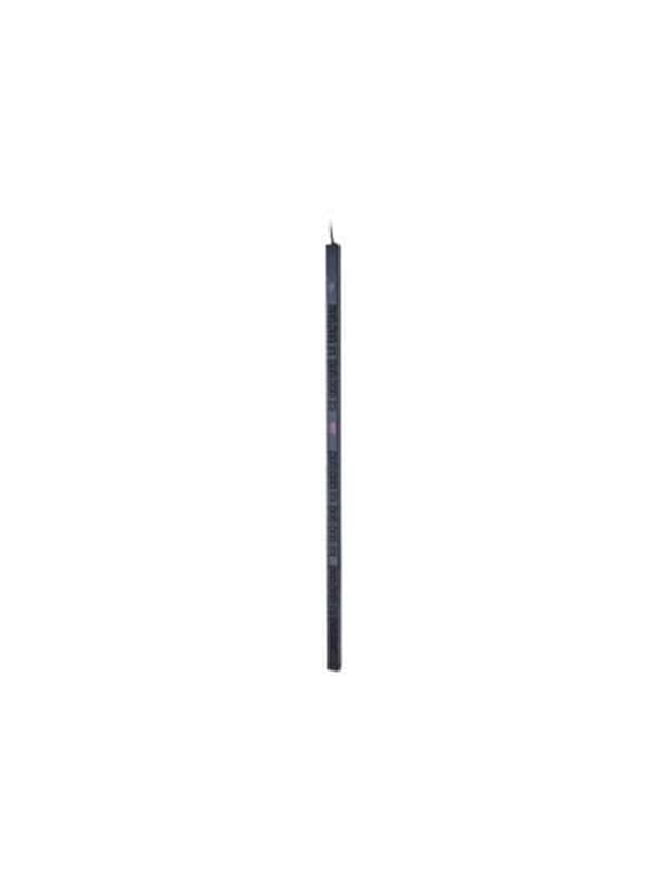 APC Rack PDU Basic Zero U 11kW 230V