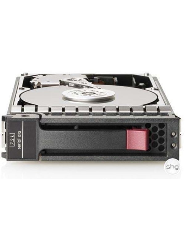 HP 1000 GB SATA-II 7200rpm HotPlug - 1TB - Harde schijf - 454146-B21 - SATA-300 - 3.5"