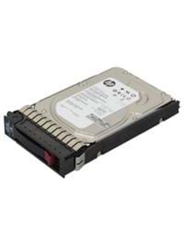 HP - 1TB - Harde schijf - 454273-001 - SATA-300 - 3.5"