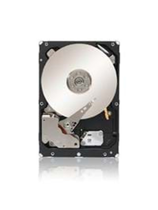 IBM - 1TB - Harde schijf - 81Y9836 - SAS2 - 2.5"