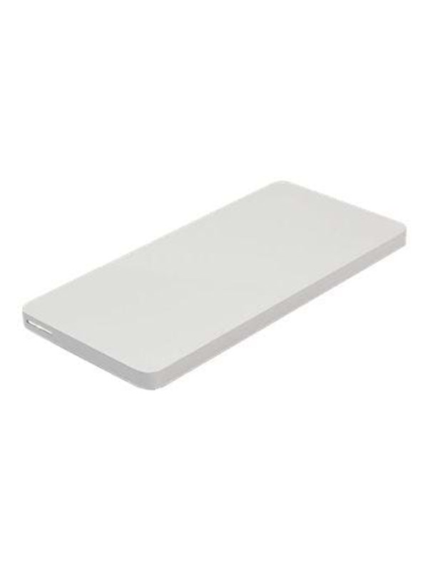 OWC Envoy Pro