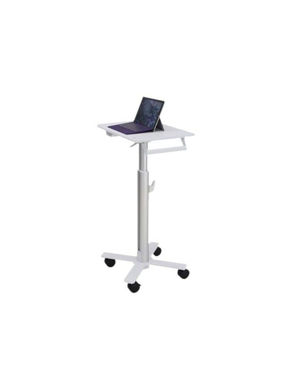 Ergotron StyleView S-Tablet Kar