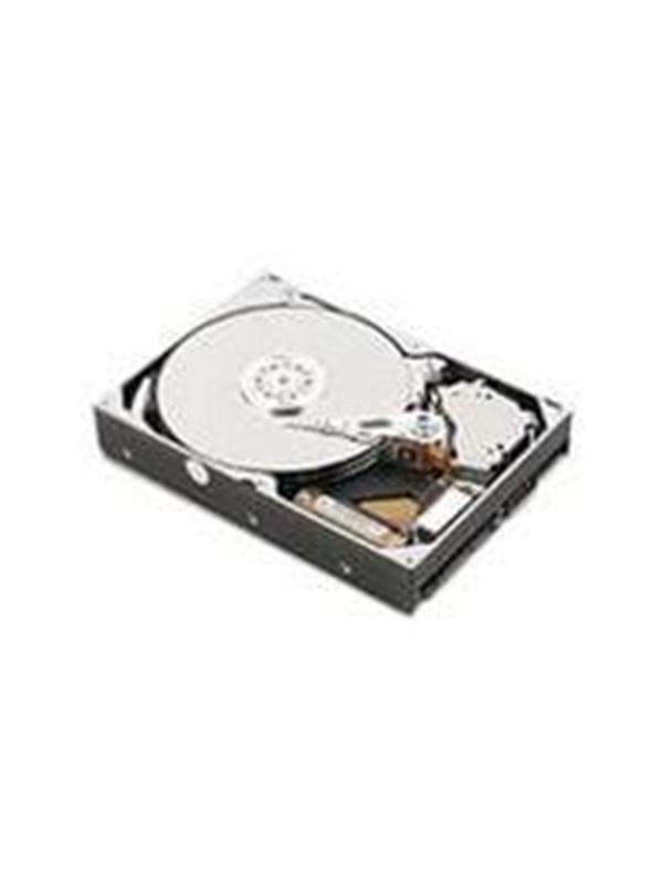 IBM - 1TB - Harde schijf - 81Y9691 - SAS2 - 2.5"