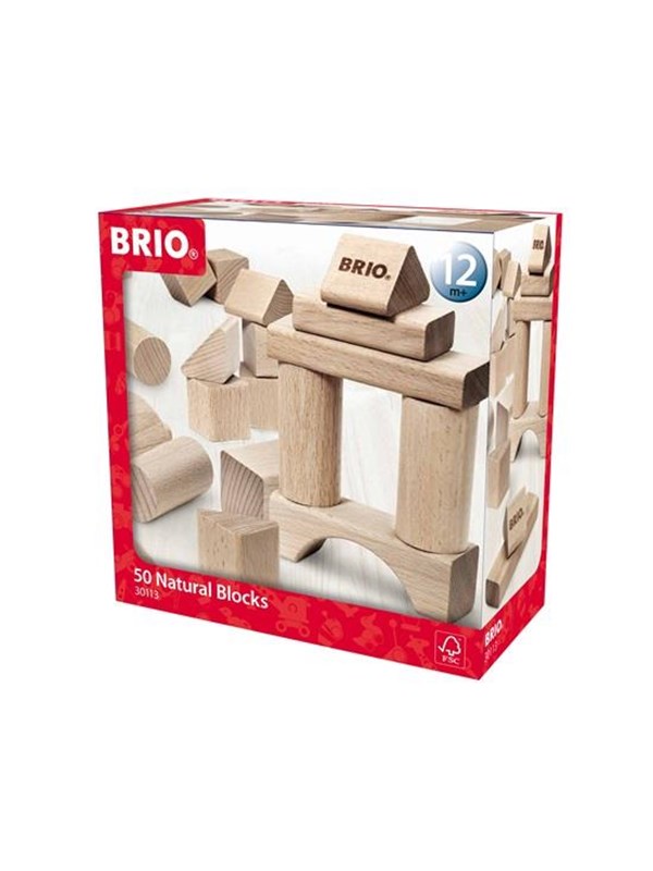 Brio 50 Building Blokken