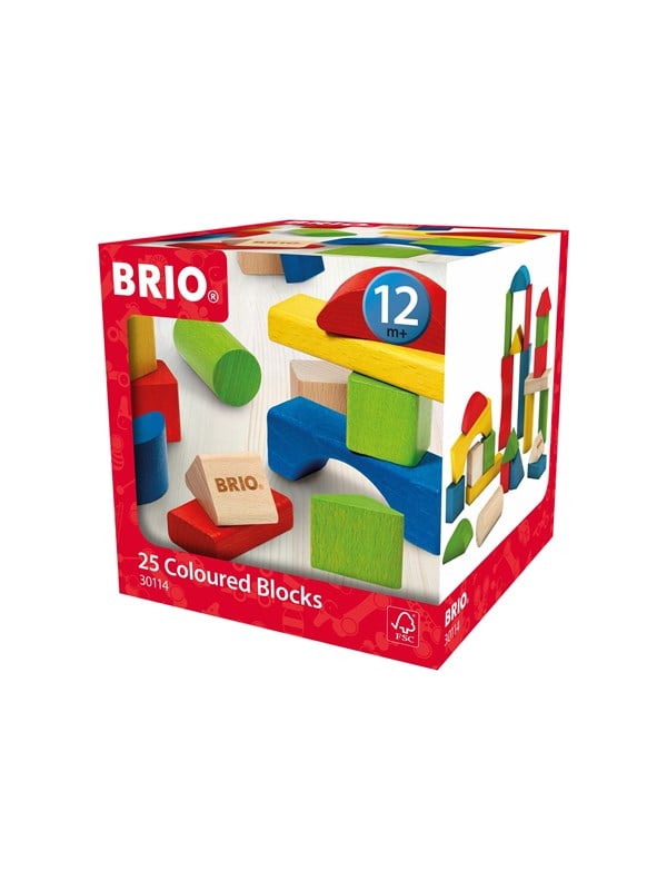 Speelgoed | Wooden Toys - Blokken Gekleurd - 25 Pcs Assorti