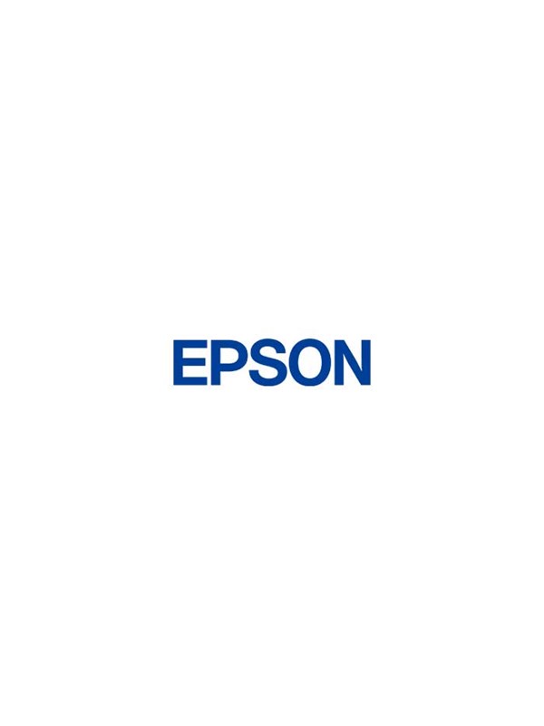 Epson Advanced - Printer additional drying system
