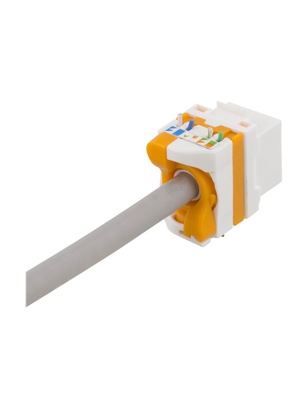 Deltaco Cat6A Keystone jack toolless Plastic wh