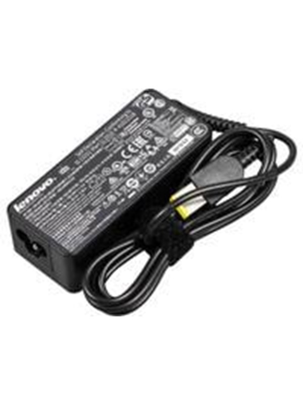 IBM AC AV / multimedia paneel 45 W 3 Pin WW