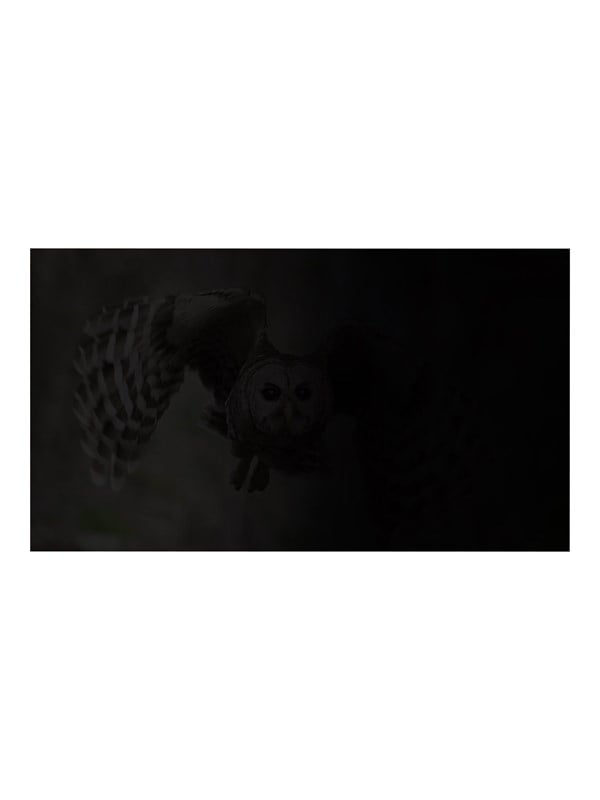 Natec OWL notebook privacy filter: OWL laptop privacy filter