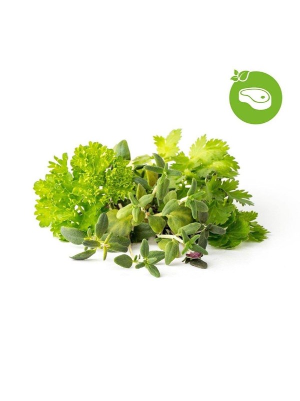 Click & Grow Slimme Tuin Navulling 9-pack Grill & Steak Mix
