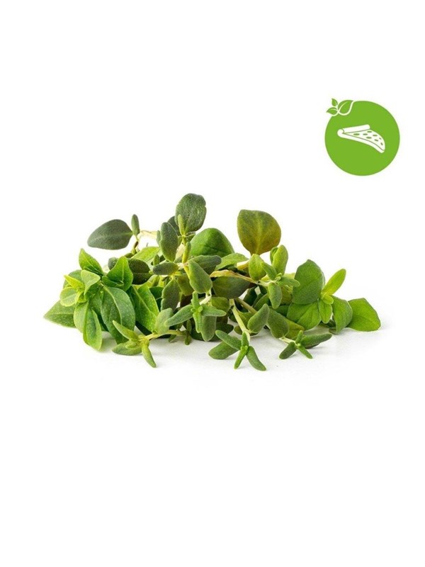 Click & Grow Slimme Tuin Navulling 9-pack Italiaanse Kruidenmix