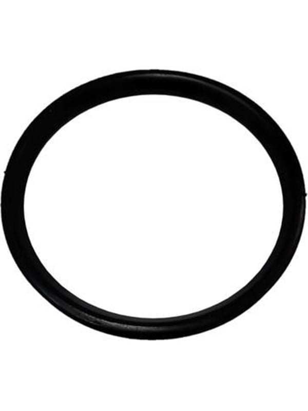 ALIAXIS Dblue sealing ring ø110