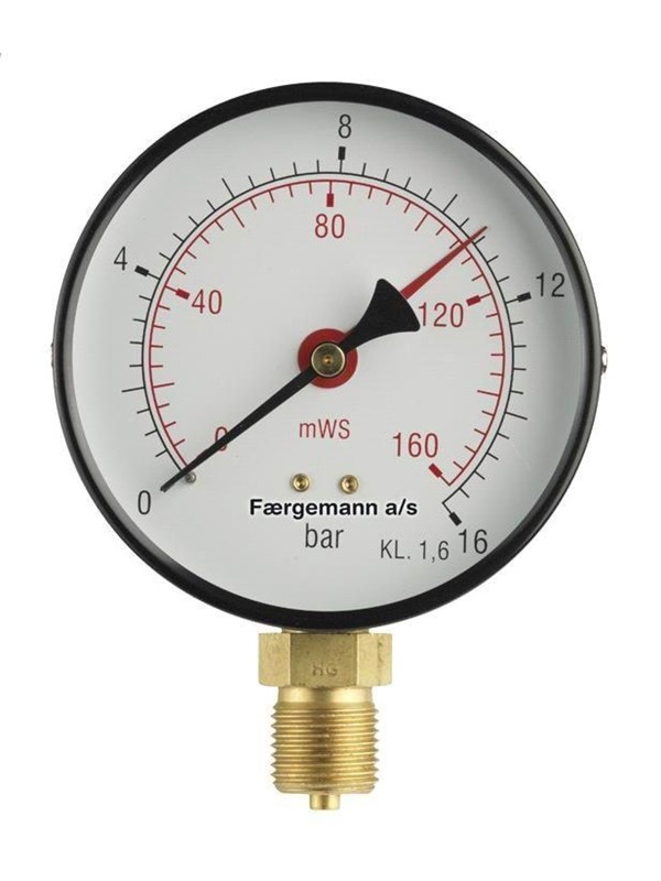 Erik Færgemann [481103044]