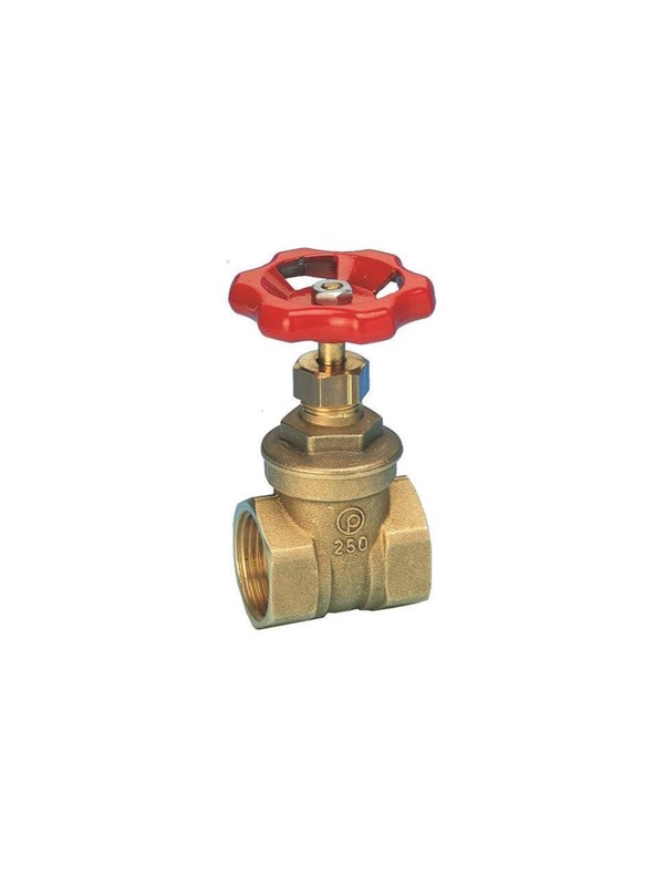 Pettinaroli Messing gate valve 4