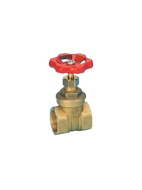 Pettinaroli Brass gate valve 1 1/2