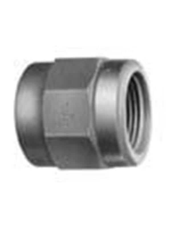 +GF+ Adaptsocket polyvinylchloride pn16 d20-1/2