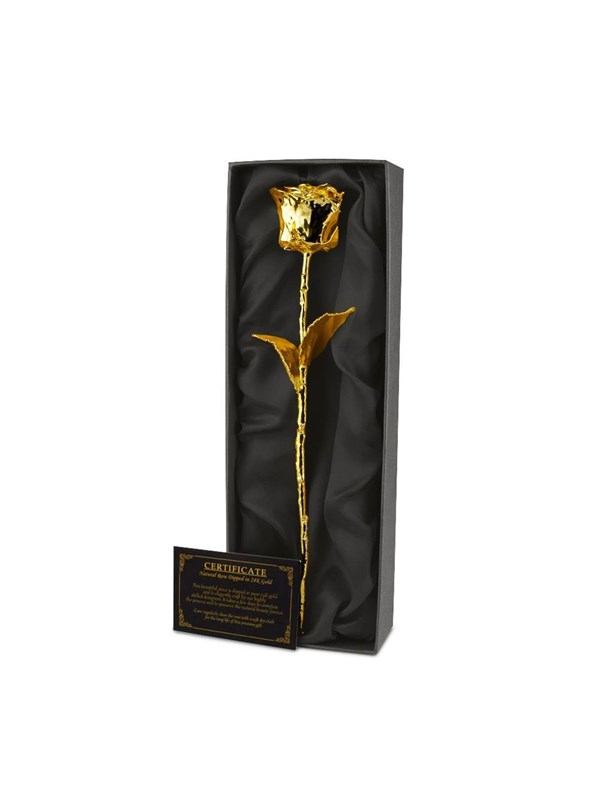 Mikamax 24K Golden Roze - Zwart Box