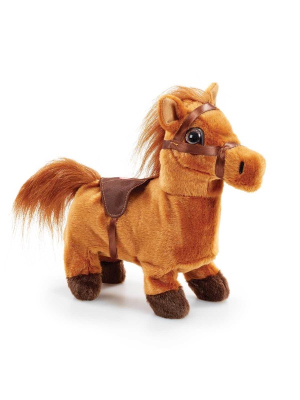 Happy Pets Walk Along Pony