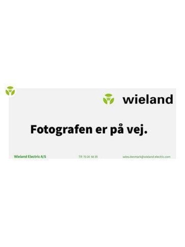 Wieland Rst25i3 plug male 3-pol 250v/32a 0.75-6mm2 ø=13-18mm Grijs