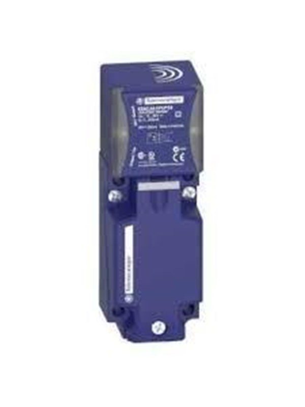 TELEMECANIQUE SENSORS Inductive sensor rect 40x40x117 12 48v D