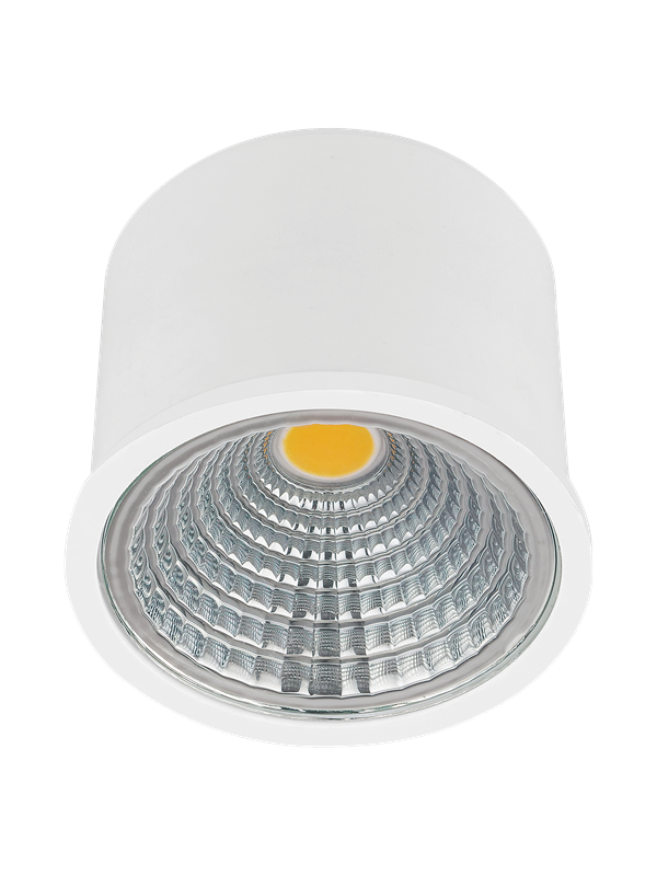 EGLO SALICETO 2 4W Ø50 mm white