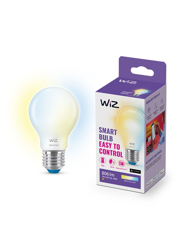 WiZ Standaard E27 bulb frosted Glas