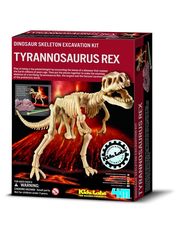 4M Kidz Labs/Dig A T-Rex skeleton