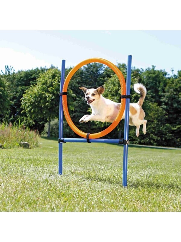 Trixie Fun Agility Ring - Verstelbare trainingshoepel voor honden