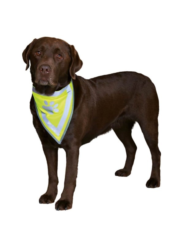 Trixie Veiligheidsbandana voor honden S-M 29-42cm