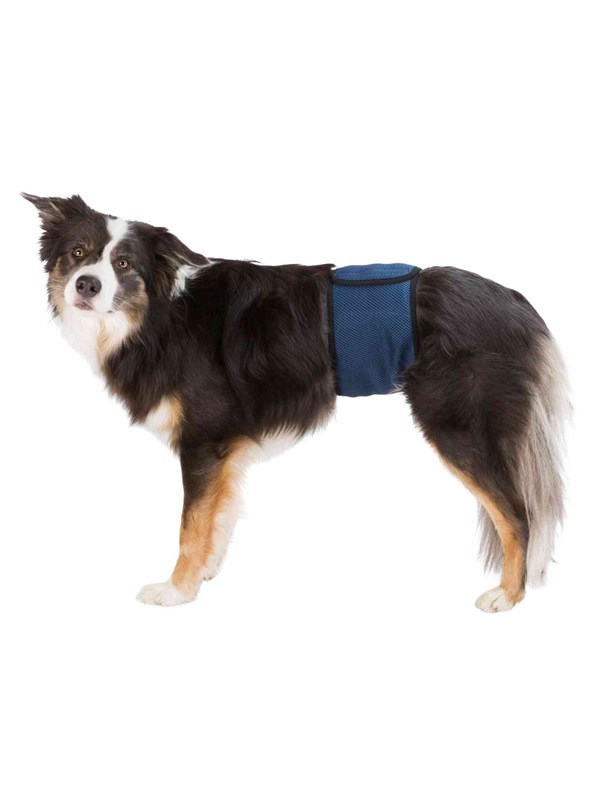 Trixie Washable Nappies for Male Dogs S Waist 29-37cm