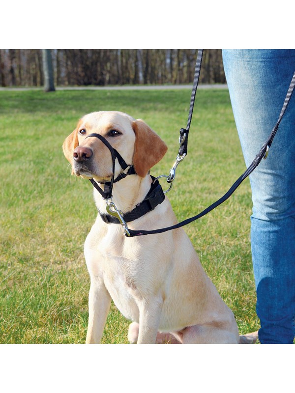 Trixie Top Trainer Training harness s Zwart