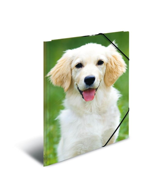 HERMA Elasticated folder A3 PP Honden