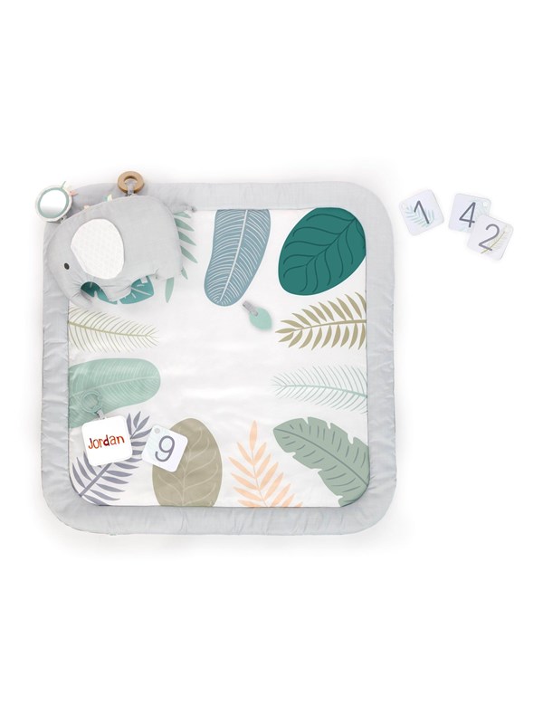 Ingenuity Sprout Spot Baby Milestone Speelmat