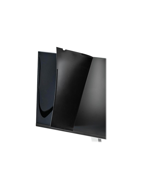 StarTech.com Monitor Privacy Scherm for 20 inch PC Display Computer Scherm