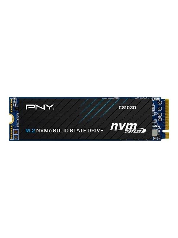 Hard Drive PNY M280CS1030-250-RB