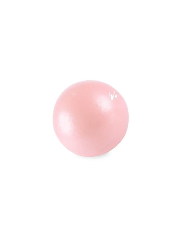 Gymstick Vivid Core Ball - Roze - 20 cm - Met Online Trainingsvideo's
