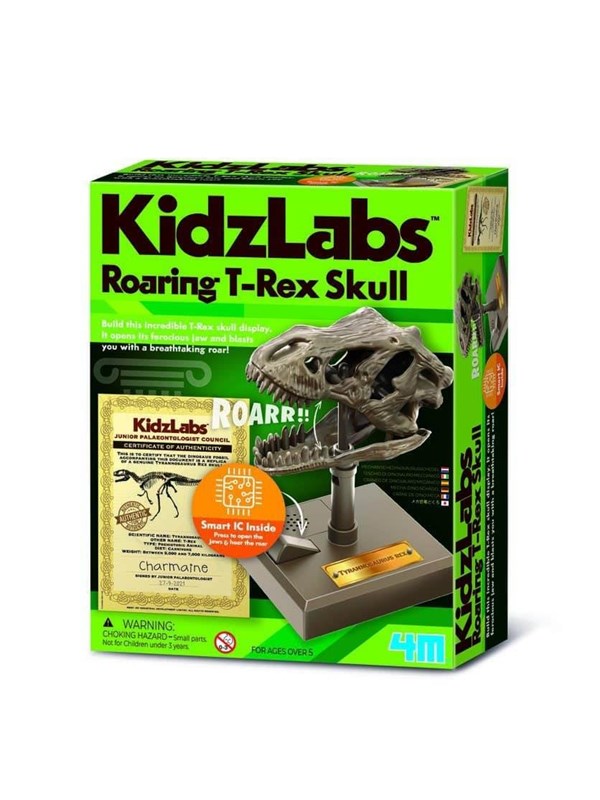 4M Wetenschap en Spel - Maak Een Brullende T-Rex Schedel - Bouwpakket Dino - Kidzrobotix - 5+