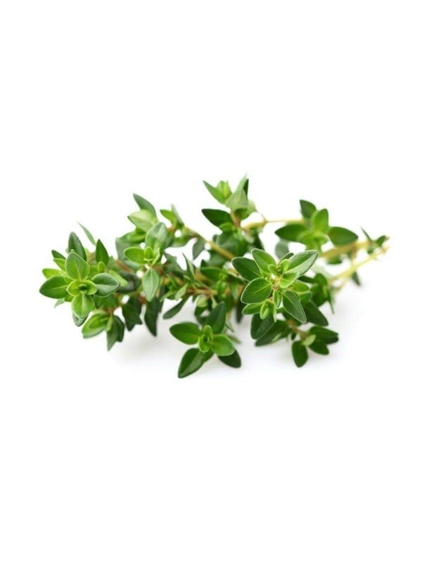 Click & Grow Slimme Tuin Navulling 3-pack - Tijm