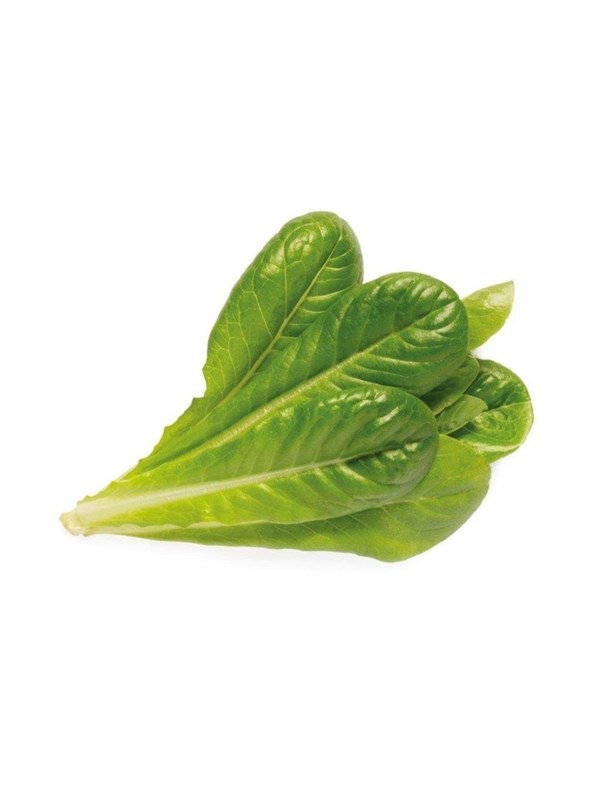 Click & Grow Slimme Tuin Navulling 3-pack - Romeinse sla