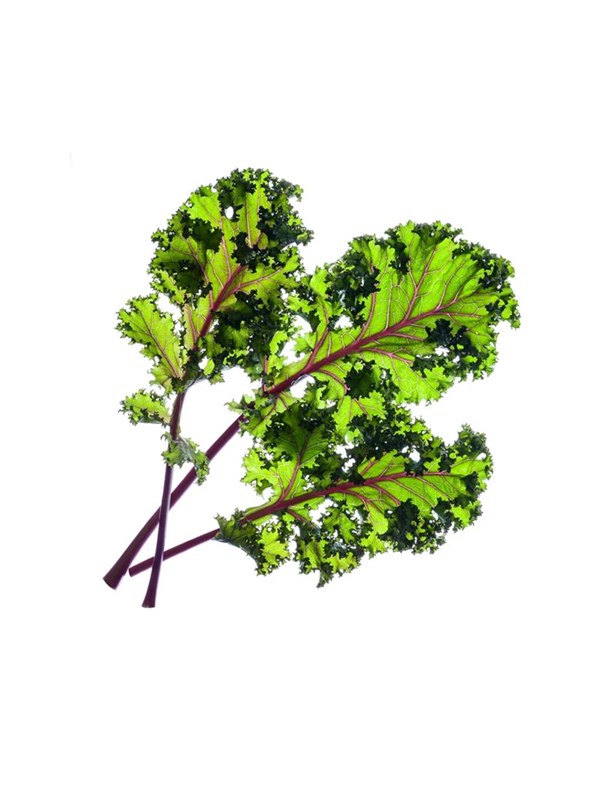 Click & Grow Smart Garden Refill 3-pack - Red Kale