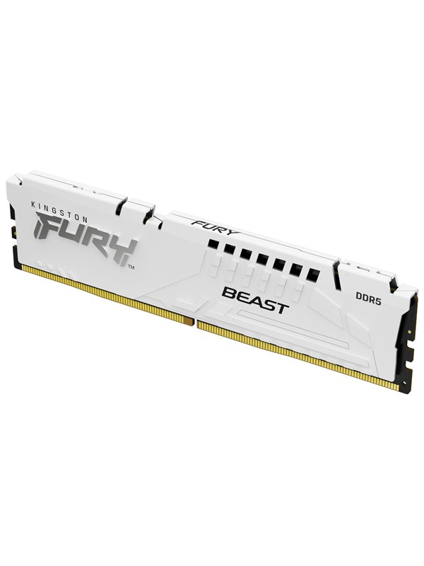 Kingston FURY Beast DDR5-5600 - 16GB - CL36 - Single Channel (1 pcs) - AMD EXPO & Intel XMP - Wit