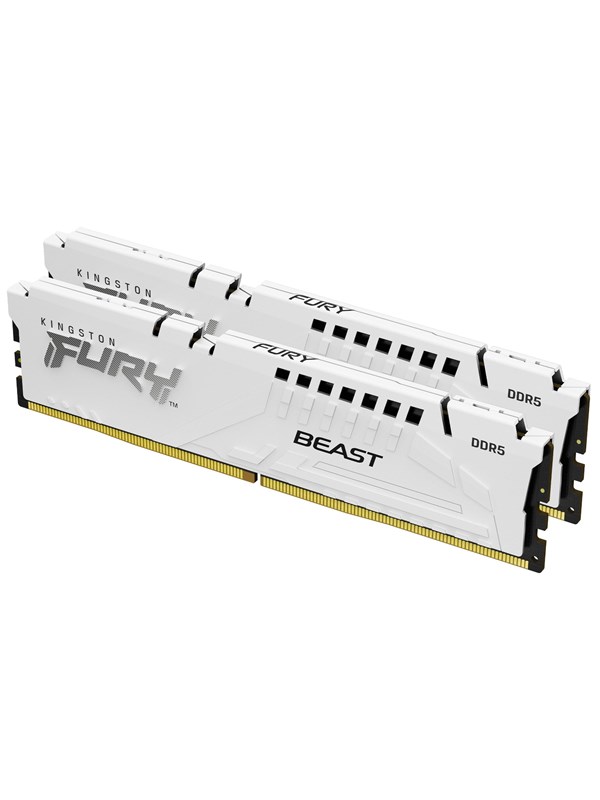 Kingston FURY Beast DDR5-5600 C40 SC - 16GB: "0" (This is already in English)