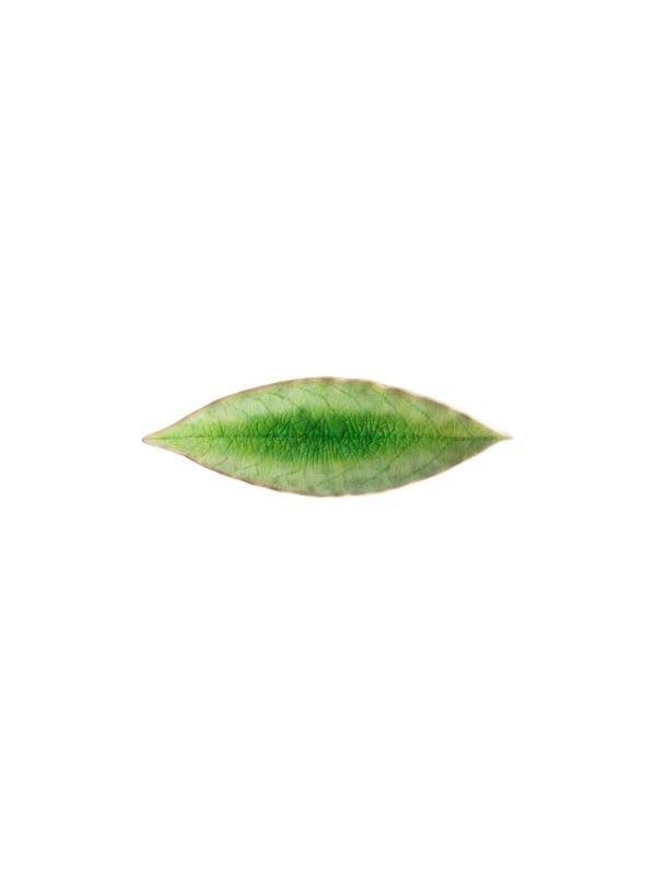 Costa Nova Riviera - servies - schaaltje blad - groen - aardewerk - H 2,1 cm