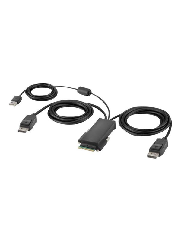 Belkin Secure Modular DP Dual Head Host Cable