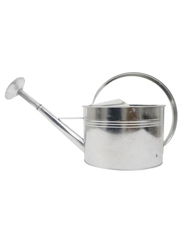 Home>it Watering Can with Rose Head 5 litres Galvanised