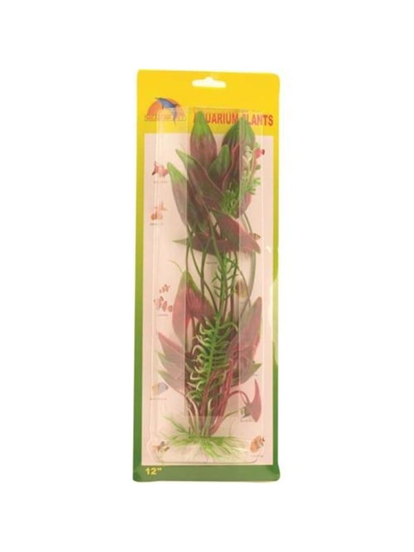 Meadow Arrowhead plant plastic 30 cm