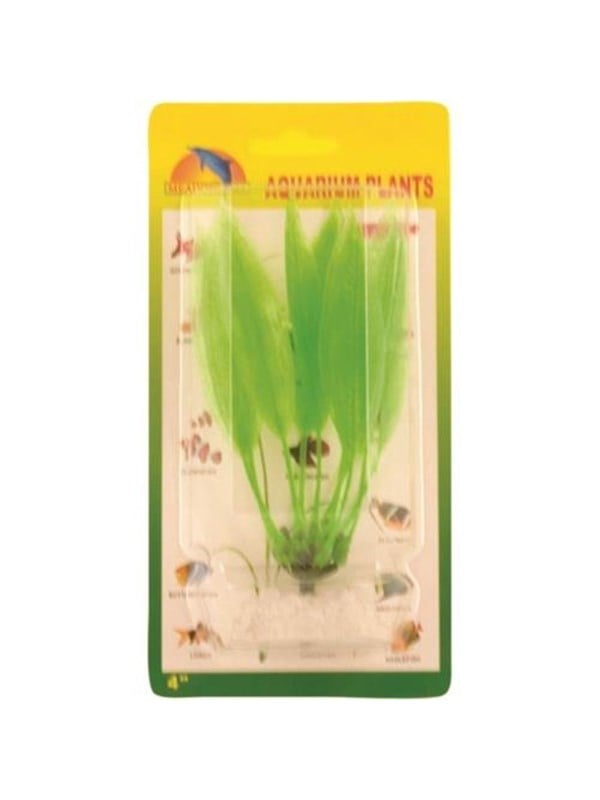 Meadow Amazon sword plant plastic 10 cm