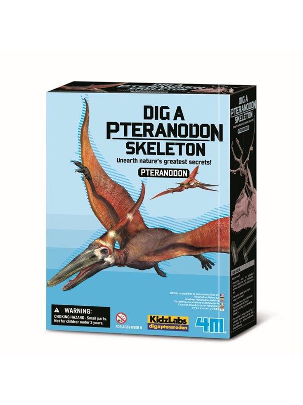 4M Graaf je Dino op - Pteranodon - Opgraafkit En Modelbouw Skelet - KidzLabs - 8+