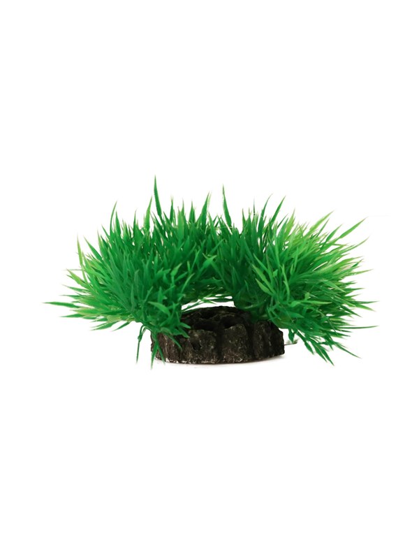 AQUAEL Decorative plant 7cm