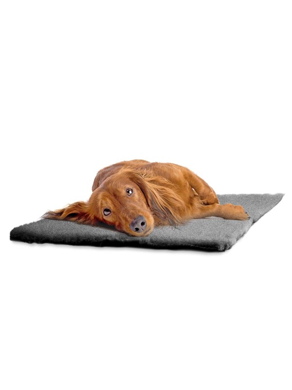 Dogman Mat Malva